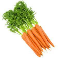 Carrot - Image 2