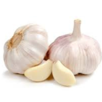 Garlic - Image 3