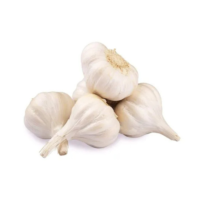 Garlic - Image 2