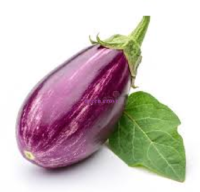 Brinjal