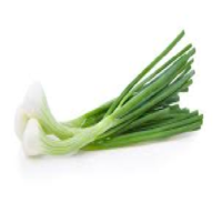 Spring Onion